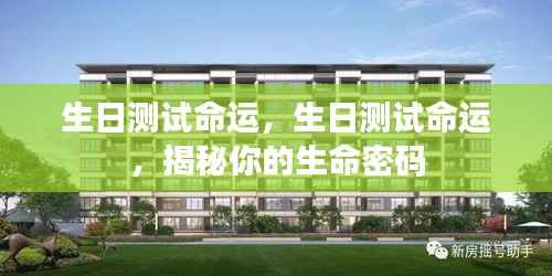 生日测试揭秘命运密码,探寻你的生命轨迹