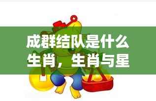 生肖与星座揭秘,成群结队背后的生肖奥秘