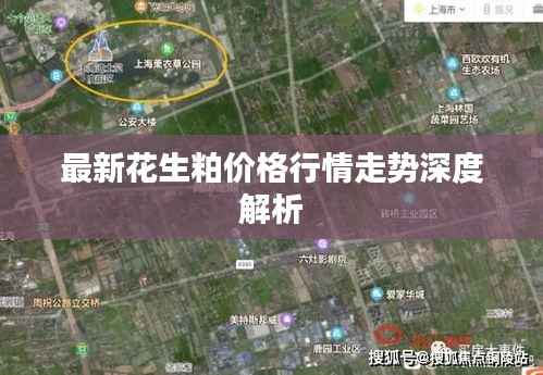 最新花生粕价格行情走势深度解析