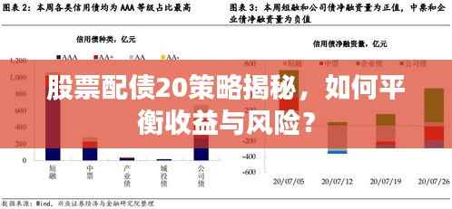 股票配债20策略揭秘,如何平衡收益与风险?
