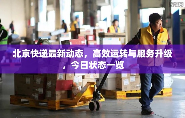 橘虞初梦 第3页