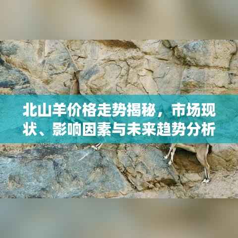 北山羊价格走势揭秘,市场现状、影响因素与未来趋势分析