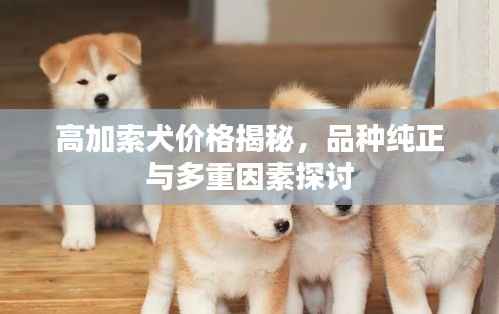 高加索犬价格揭秘,品种纯正与多重因素探讨