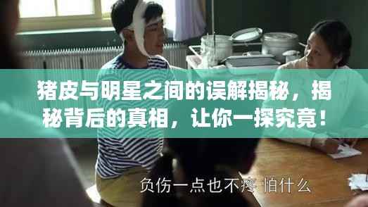 猪皮与明星之间的误解揭秘,揭秘背后的真相,让你一探究竟!