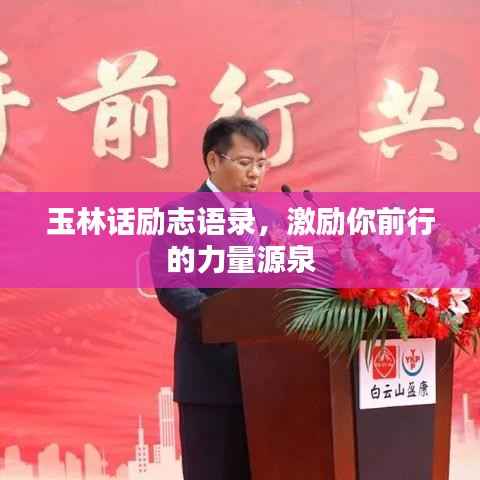 衣不兼采 第3页