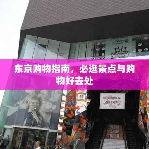 东京购物指南,必逛景点与购物好去处