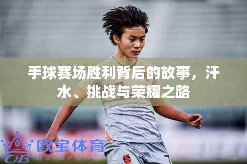 落土飞岩 第2页