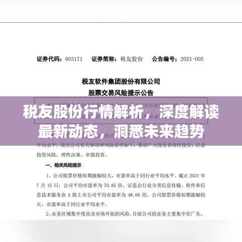税友股份行情解析,深度解读最新动态,洞悉未来趋势