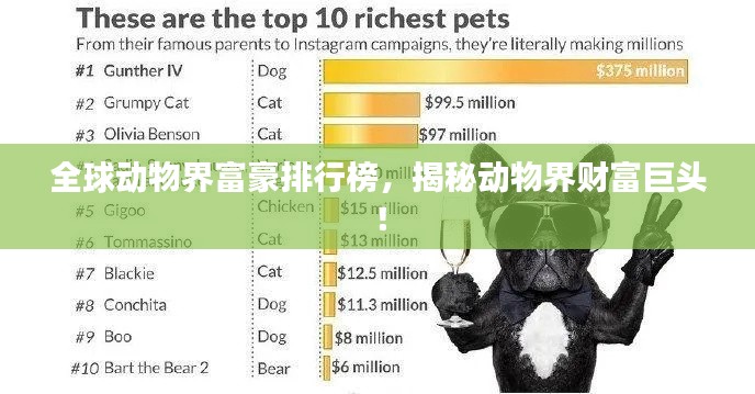 一本正经 第3页
