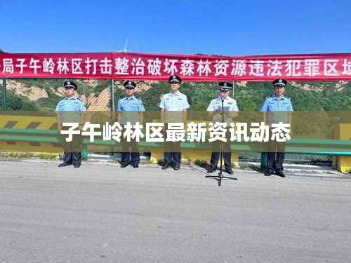 子午岭林区最新资讯动态