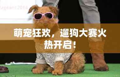 毛手毛脚 第3页