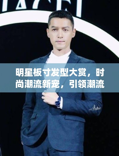 明星板寸发型大赏,时尚潮流新宠,引领潮流风向标