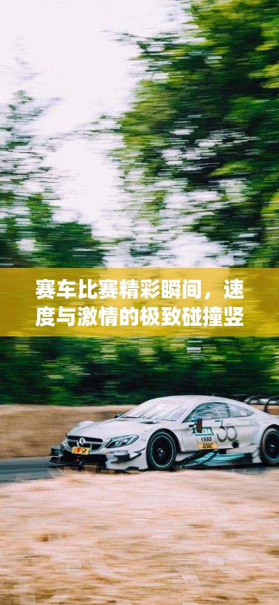 走马观花 第3页