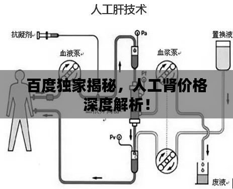 百度独家揭秘,人工肾价格深度解析!