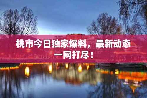 发硎新试 第3页