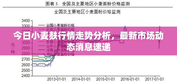 炊粱跨卫 第3页