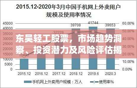 东吴轻工股票,市场趋势洞察、投资潜力及风险评估揭秘