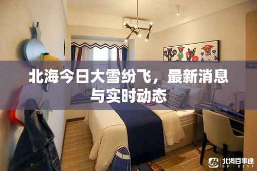 北海今日大雪纷飞,最新消息与实时动态