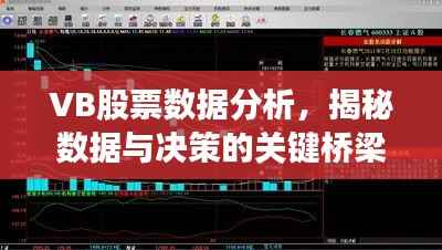VB股票数据分析,揭秘数据与决策的关键桥梁!
