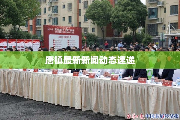 唐镇最新新闻动态速递