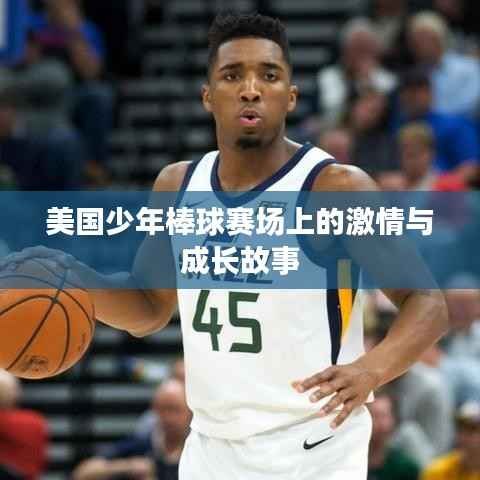 美国少年棒球赛场上的激情与成长故事