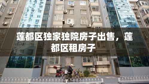 莲都区独家独院房子出售,莲都区租房子