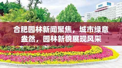 合肥园林新闻聚焦,城市绿意盎然,园林新貌展现风采