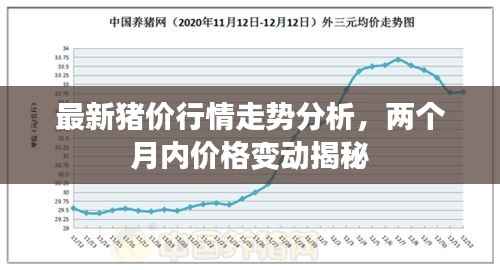 最新猪价行情走势分析,两个月内价格变动揭秘