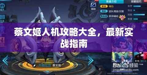 蔡文姬人机攻略大全,最新实战指南