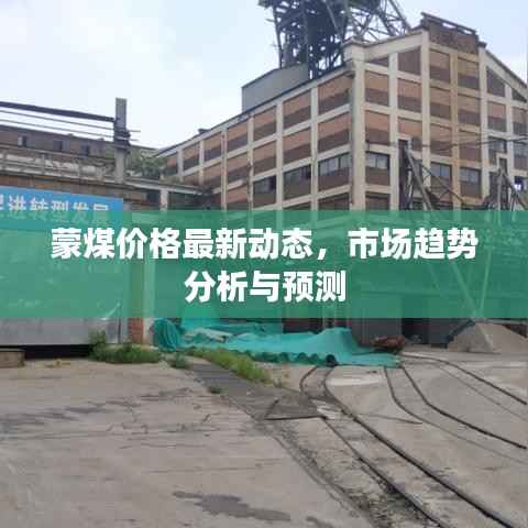 蒙煤价格最新动态,市场趋势分析与预测