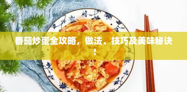 番茄炒蛋全攻略,做法、技巧及美味秘诀!