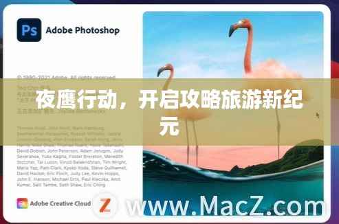 夜鹰行动,开启攻略旅游新纪元