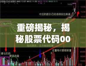 重磅揭秘,揭秘股票代码002209股票分红的全面解读与策略分析