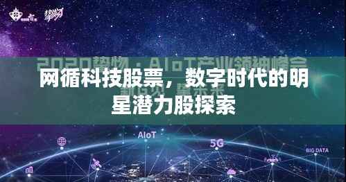 网循科技股票,数字时代的明星潜力股探索
