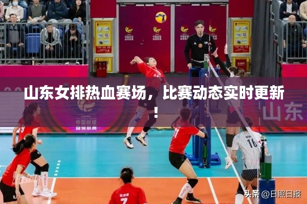 山东女排热血赛场,比赛动态实时更新!