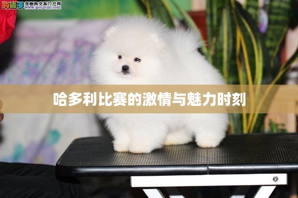 敷衍了事 第2页