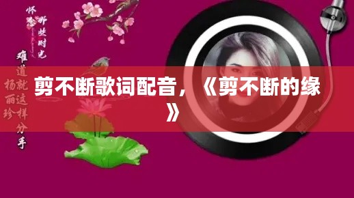剪不断歌词配音,《剪不断的缘》
