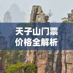天子山门票价格全解析