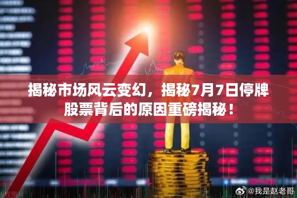 揭秘市场风云变幻,揭秘7月7日停牌股票背后的原因重磅揭秘!