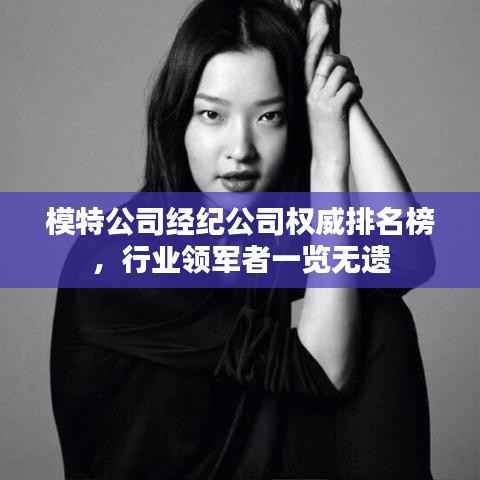 模特公司经纪公司权威排名榜,行业领军者一览无遗