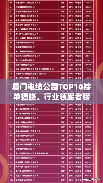 厦门电缆公司TOP10榜单揭晓，行业领军者榜单排名一网打尽！