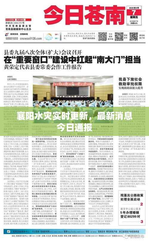 择善而从 第2页