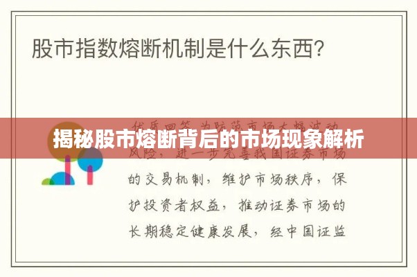 揭秘股市熔断背后的市场现象解析
