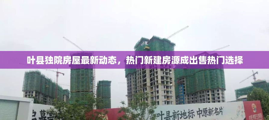 鸟飞兔走 第3页