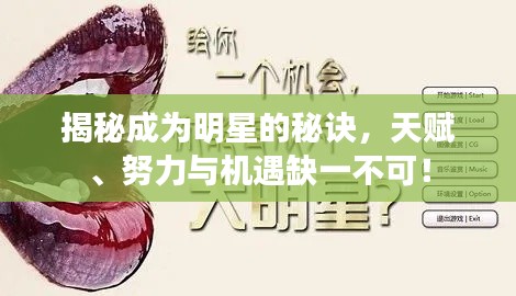 小鸟伊人 第2页