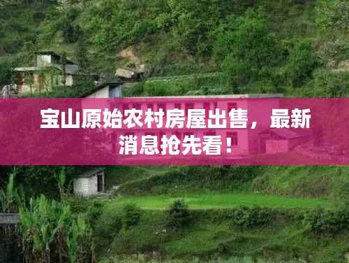 宝山原始农村房屋出售,最新消息抢先看!