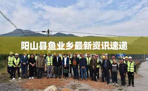 阳山县鱼业乡最新资讯速递